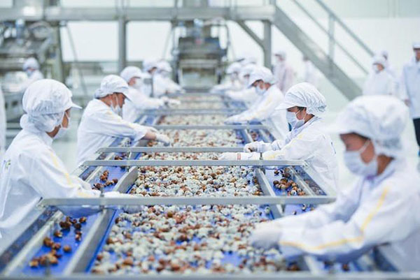 thuê lại lao động phổ thông - https://cungunglaodonghrmiennam.vn/cung-cap-lao-dong-gia-cong-cho-cac-doanh-nghiep-toan-mien-nam