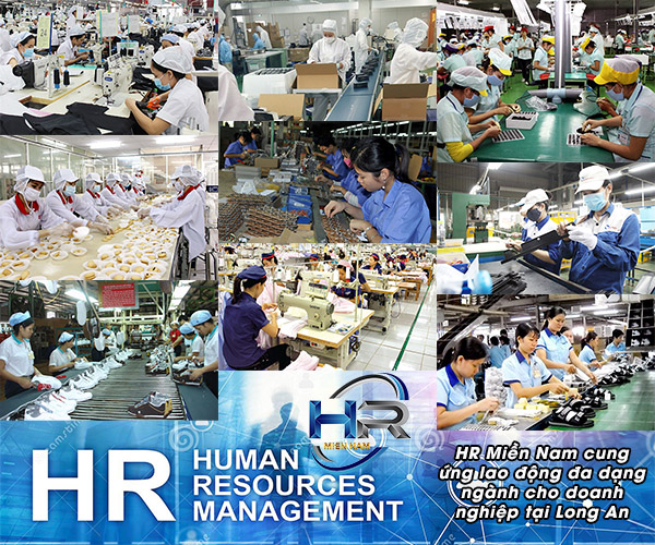 cung ứng nhân lực phổ thông - https://cungunglaodonghrmiennam.vn/
