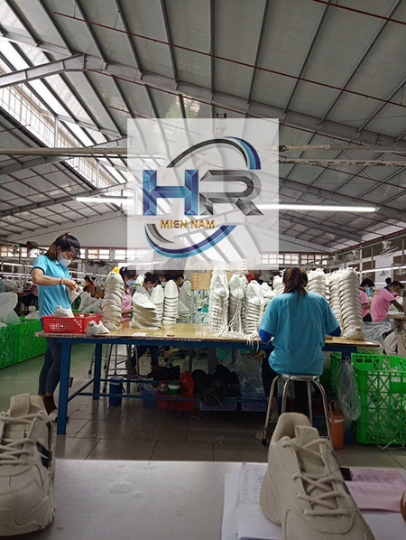 đơn vị cung ứng lao động thời vụ tây ninh giá rẻ - 0981 776 811