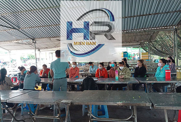 cty cung ứng nhân lực uy tín hàng đầu tiền giang - https://cungunglaodonghrmiennam.vn/