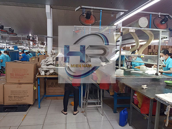 cung ứng lao động tiên giang chất lượng - https://cungunglaodonghrmiennam.vn/dich-vu