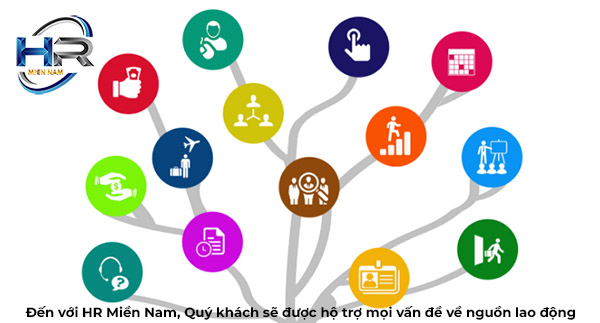 dịch vụ hợp thức hóa lao động uy tín tại tây ninh - CÔNG TY TNHH HR MIỀN NAM